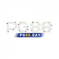 pg88gay