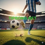 tipbongda
