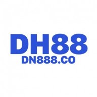 dn888co