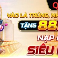 qs88bicom