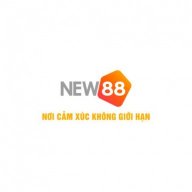 new88vicomm1