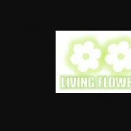 livingflowers