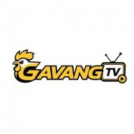 gavangtvllc