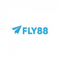 fly888y