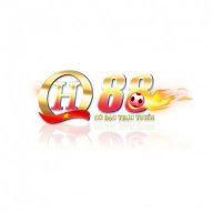 qh88usvn06